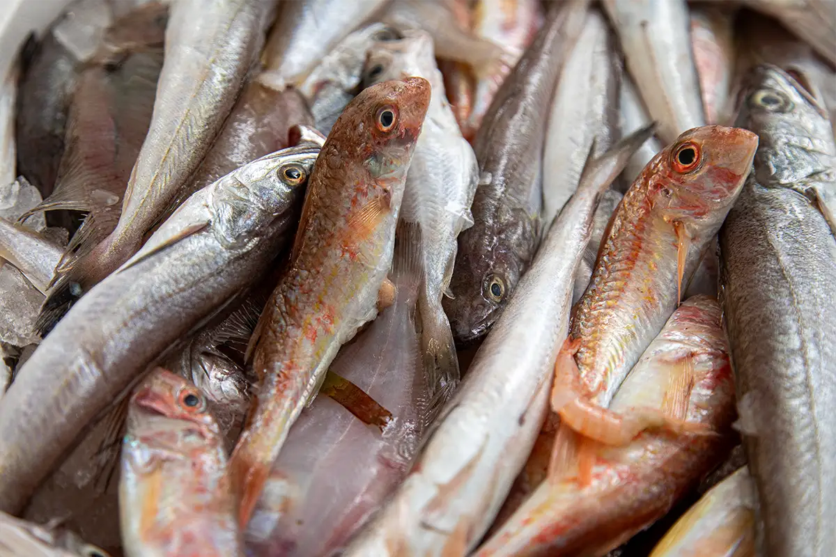 divi-cart-pro-beauty-about-1