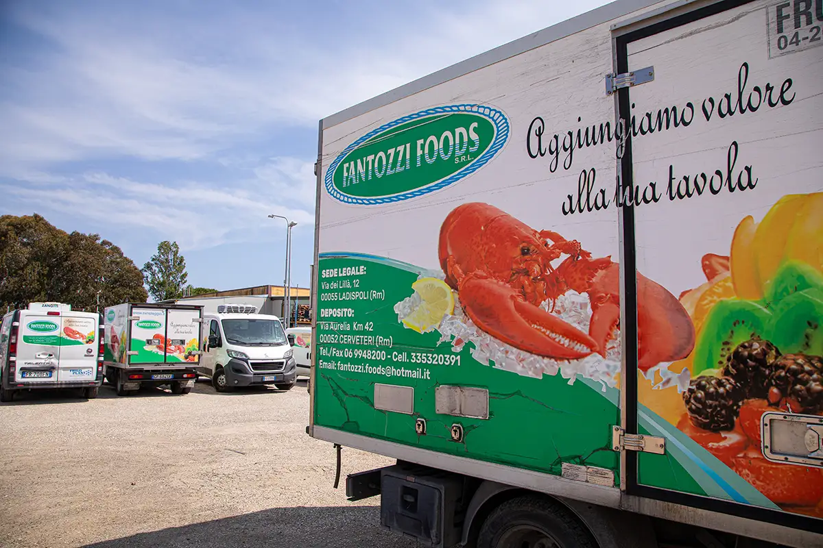 divi-cart-pro-beauty-about-2