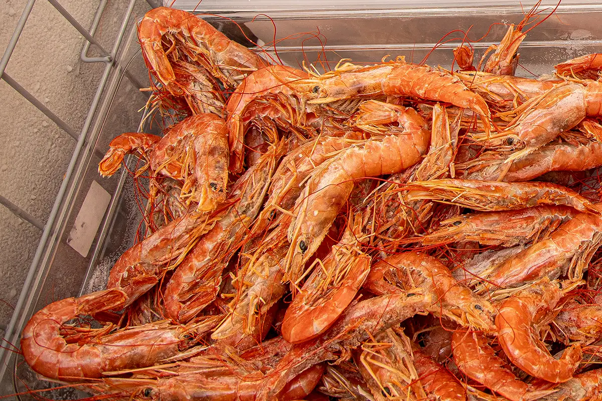 divi-cart-pro-beauty-about-2