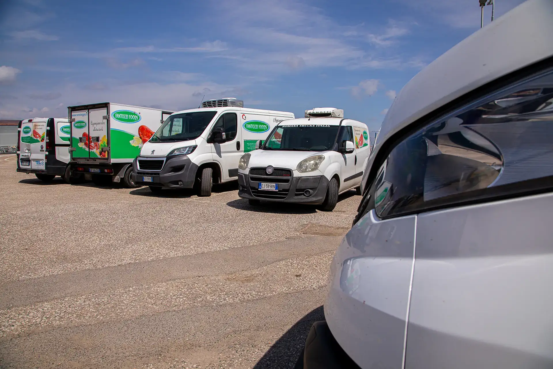 divi-cart-pro-beauty-about-1